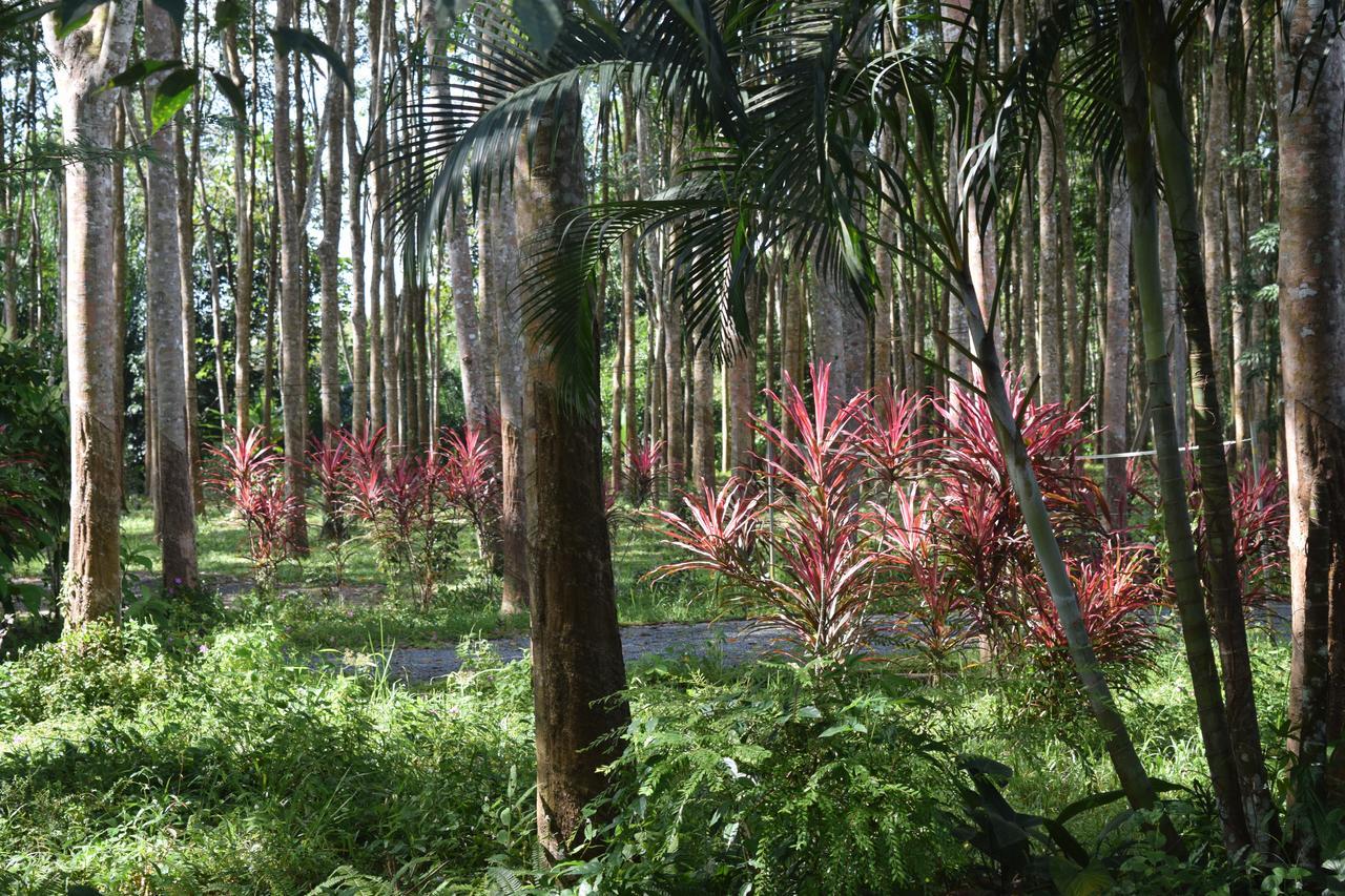 Manora Garden Hotell Phang Nga Eksteriør bilde